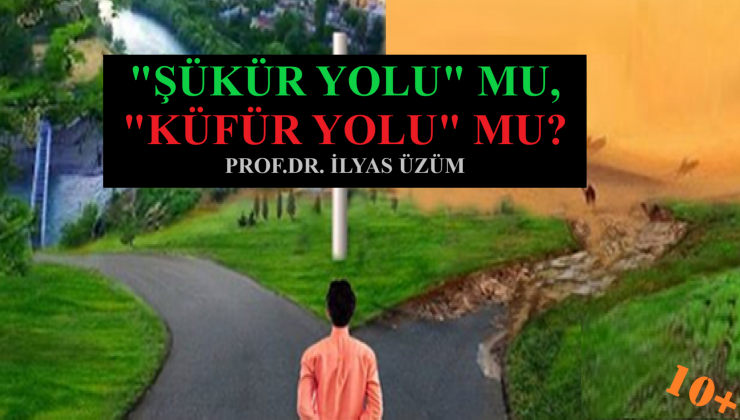 “ŞÜKÜR YOLU” MU, “KÜFÜR YOLU” MU? | PROF.DR. İLYAS ÜZÜM