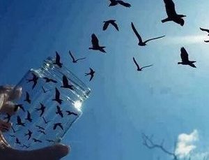 Hür Olmak, Hür Kalmak: Ya da Başkalarına Hürriyet Tanıdığımız Kadar Hürüz!