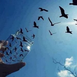 Hür Olmak, Hür Kalmak: Ya da Başkalarına Hürriyet Tanıdığımız Kadar Hürüz!