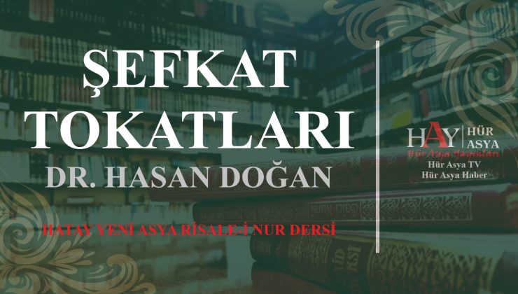ŞEFKAT TOKATLARI