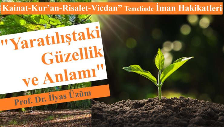 “Yaratılıştaki Güzellik ve Anlamı”