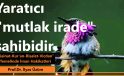 Yaratıcı “mutlak irade” sahibidir | Prof. Dr. İlyas Üzüm