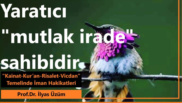Yaratıcı “mutlak irade” sahibidir | Prof. Dr. İlyas Üzüm