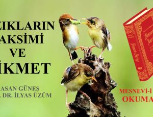 RIZIKLARIN TAKSİMİ VE HİKMET