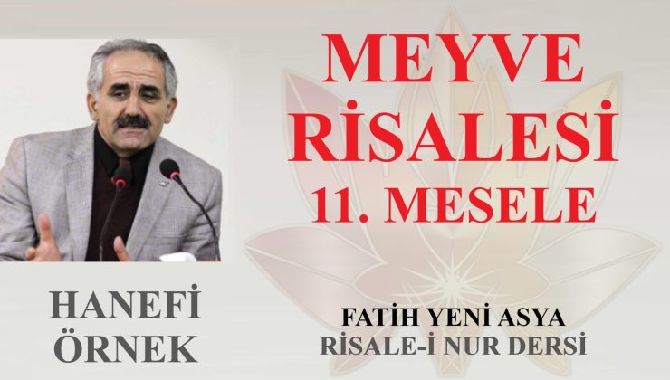 MEYVE RİSALESİ 11. MESELE / HANEFİ ÖRNEK
